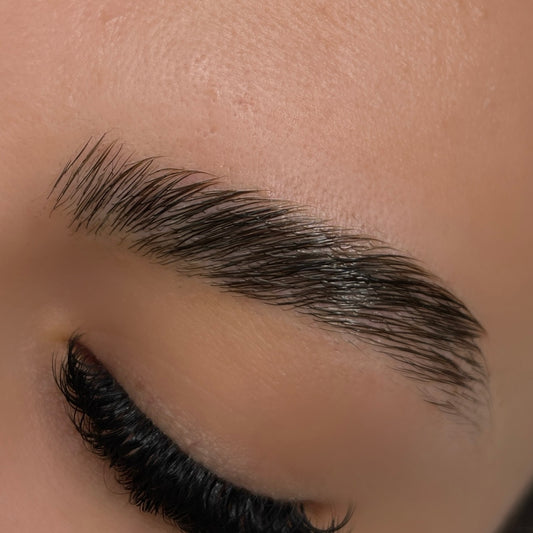Brow Lamination and Tint Beginner's Course